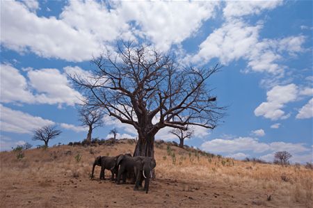 Groeten uit Tanzania