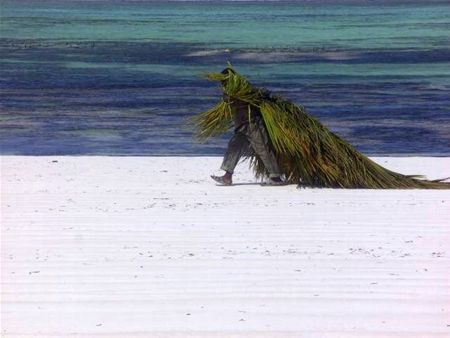 Groeten uit Zanzibar