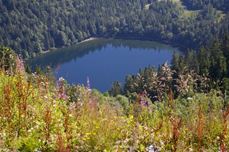 Groeten vanop de Feldberg