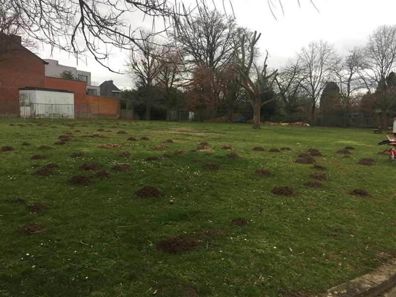 Heb je de mollen al geteld?