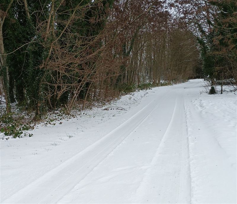 Heeft de putheks er iets mee te maken?