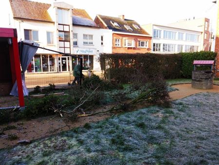 Heel wat schade door crash in Berentuin