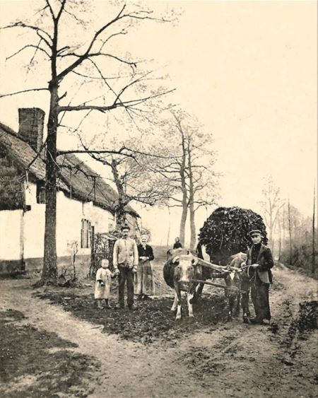 Heemkundekring belicht het oude boerenleven