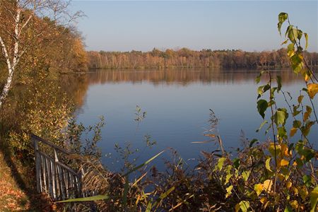 Herfst in Bolderberg (1)