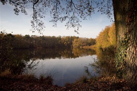 Herfst in Bolderberg (2)