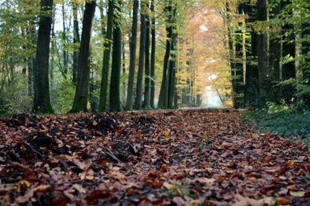 Herfst met ingrediënten uit alle seizoenen