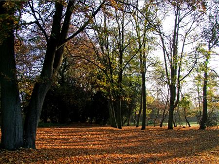 Herfstcharme op domein Meylandt