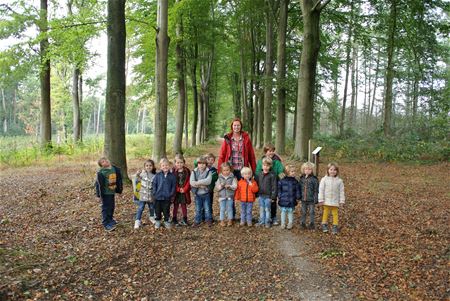 Het bos als speelterrein