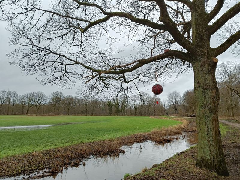 Het kan verkeren ...