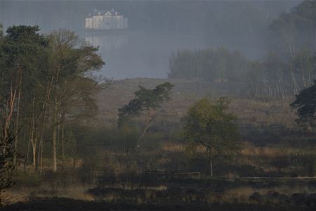 Het krieken van een lente-ochtend