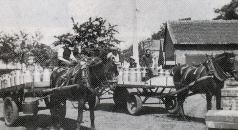 Het oude boerenleven in Heusden (4)