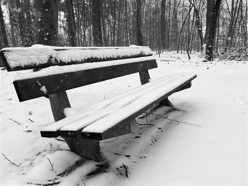 Heusden-Zolder in de sneeuw