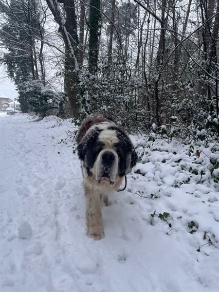 Heusden-Zolder in de sneeuw