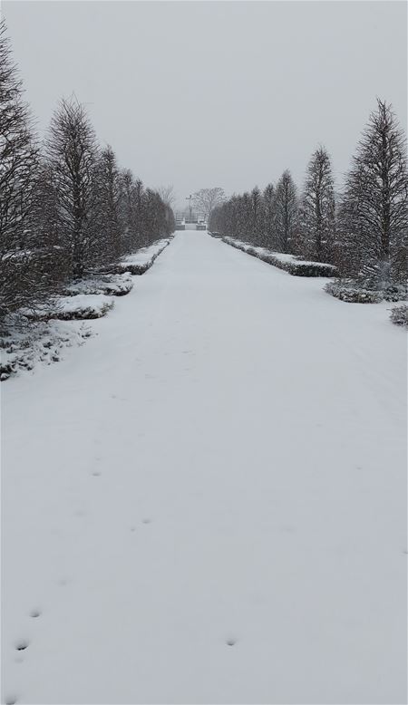 Heusden-Zolder in de sneeuw