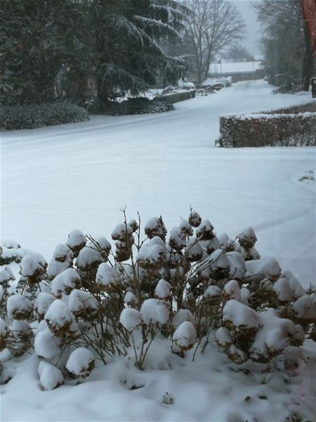 Heusden-Zolder in de sneeuw