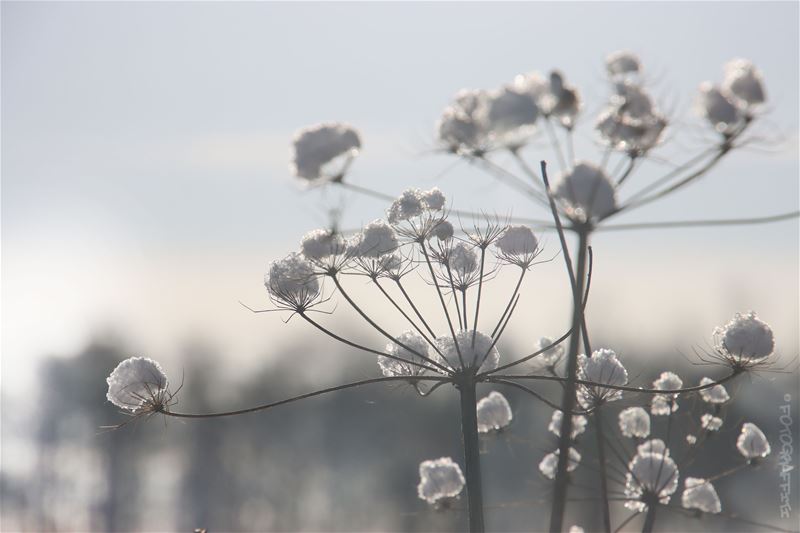 Heusden-Zolder in de sneeuw