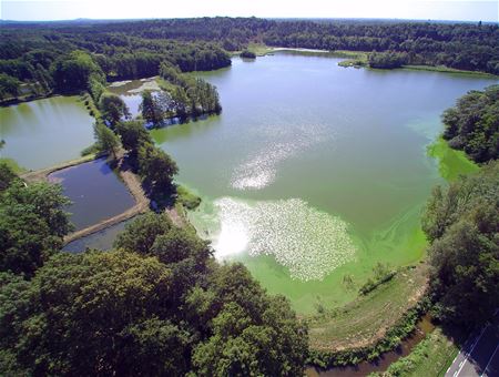 Heusden-Zolder vanuit de hoogte (12)