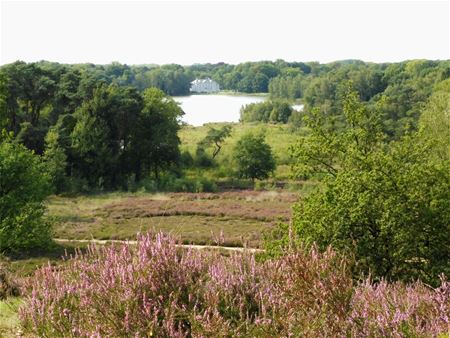 Heusden-Zolder vanuit de hoogte (23)