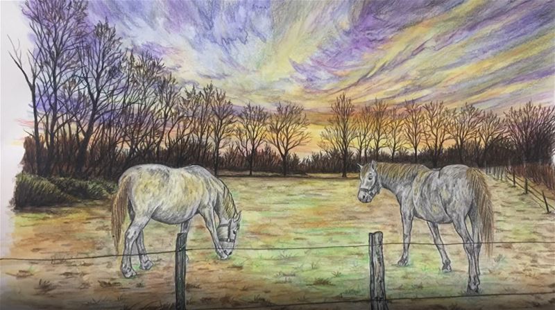 Heusdense weide inspireert kunstenaar in Turkije