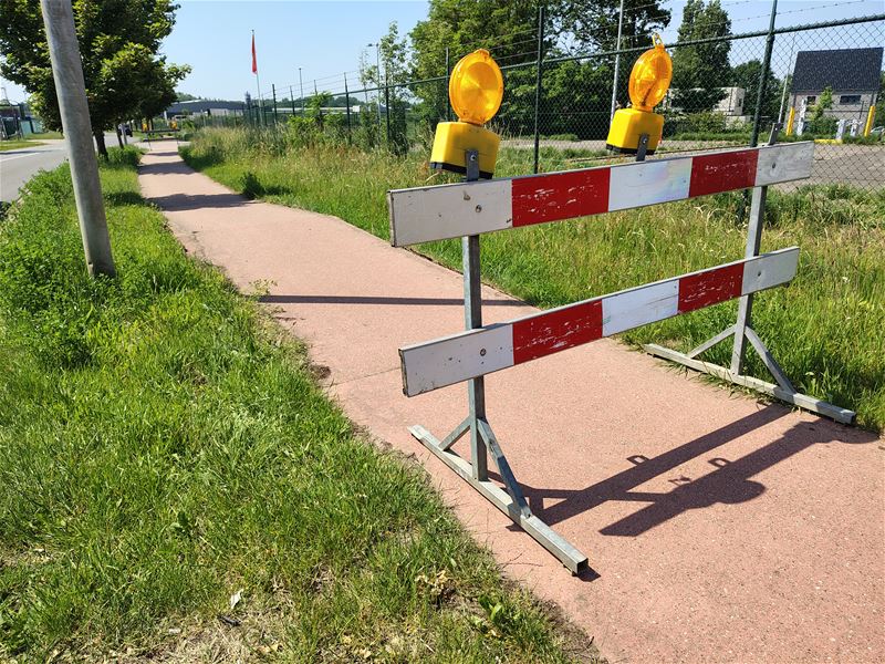 Hitteschade aan het fietspad in Terrillaan
