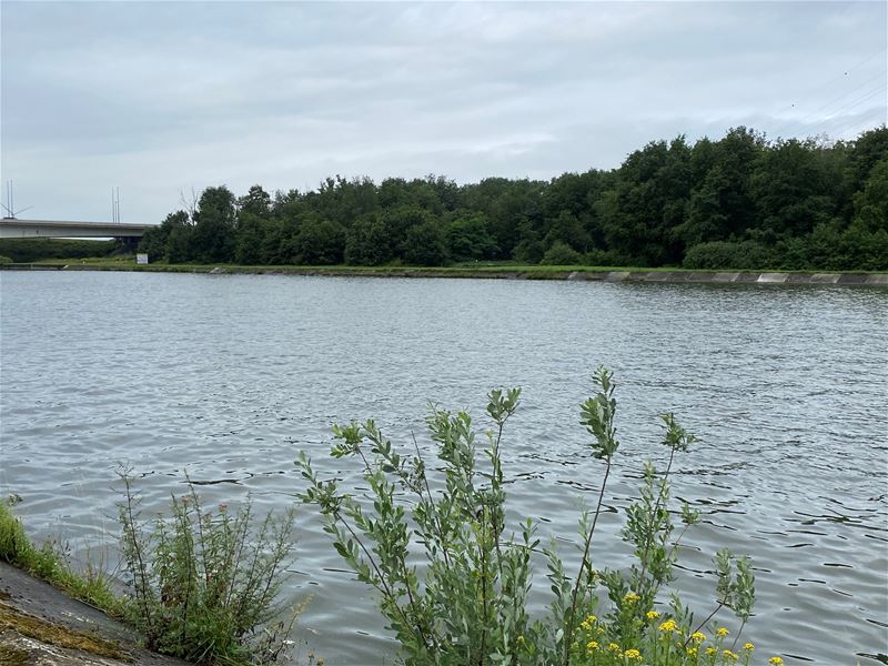 Hoge waterstand, weinig schepen op het kanaal