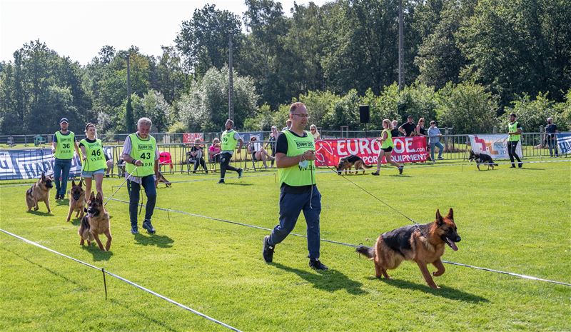 Honden en hun baasjes tonen hun kunnen