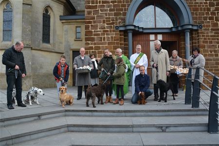 Honden gezegend in naam van Sint-Hubertus