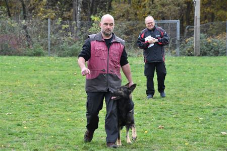 Honden tonen het beste van zichzelf