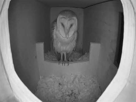 Ik ben zo eenzaam zonder jou