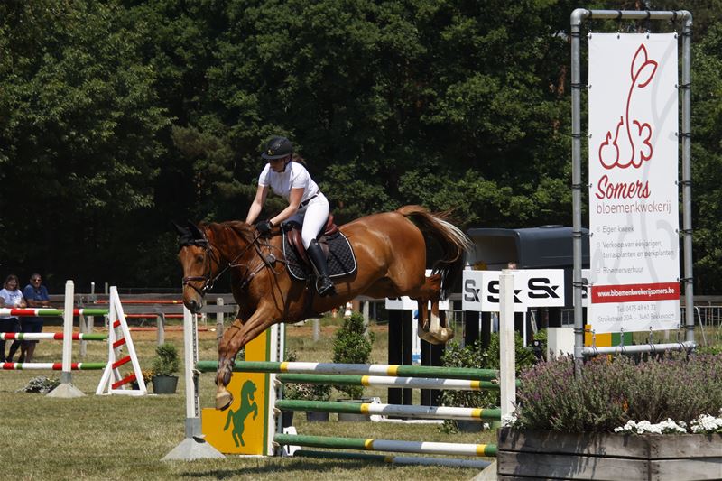 Jonge paarden in springnummers en dressuur