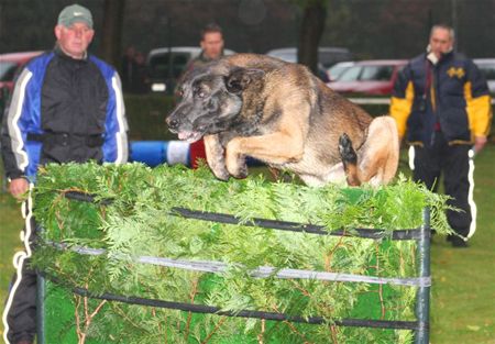 Kampioenstitel gaat naar Lummen