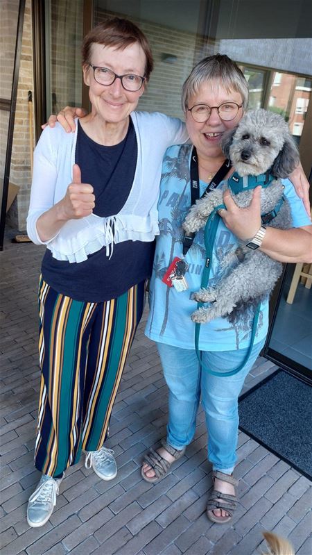 Kan jouw hond iets betekenen voor 't Weyerke?