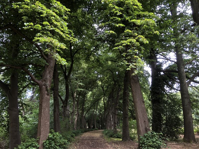 Kasteeldomein Meylandt kreeg een opknapbeurt