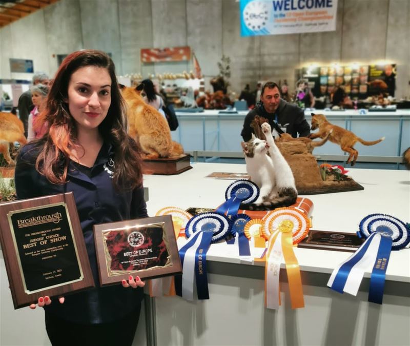 Kat van Sarah Reynders wint 4 prijzen in Salzburg