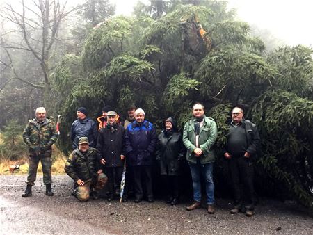 Kerstboom van Saint-Hubert is onderweg