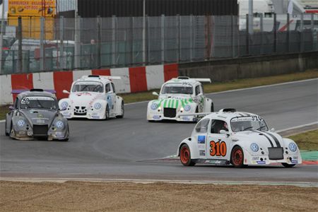 Kevers zijn losgebroken op het circuit