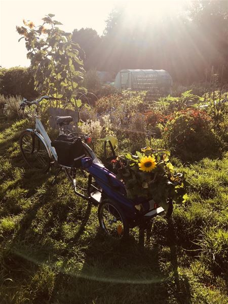 Klaar voor de nieuw patatjes