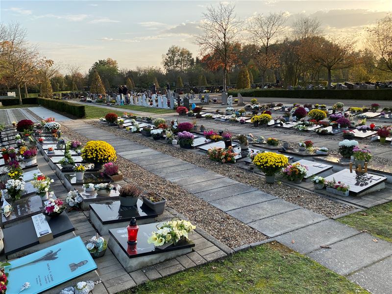 Kleurrijke bloemen bij Allerheiligen