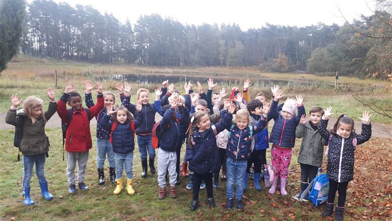 Kleuters gingen op verkenning in het herfstbos