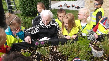 Kleuters helpen bejaarden in Bloemelingentuin