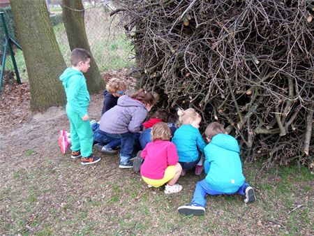 Kleuters op zoek naar kriebeldiertjes