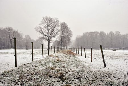 Koud maar sfeervol