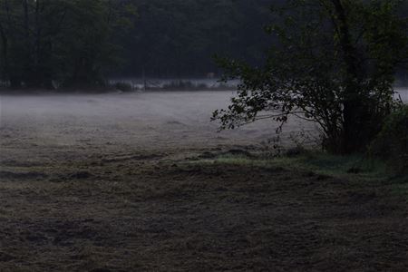 KWB Bolderberg op ochtendwandeling