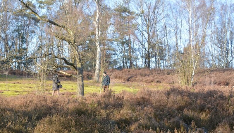 Laat anderen meegenieten van je natuurwandeling