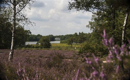 Laatste beheersfase aan de Bolderberg