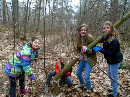 Leerlingen aan de slag in het bos van Eversel