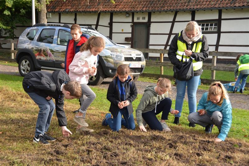 Leerlingen planten bloembollen op Bovy