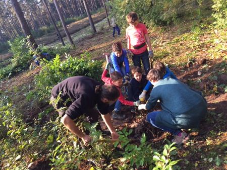 Leerlingen van Bolderberg doen aan bosbeheer