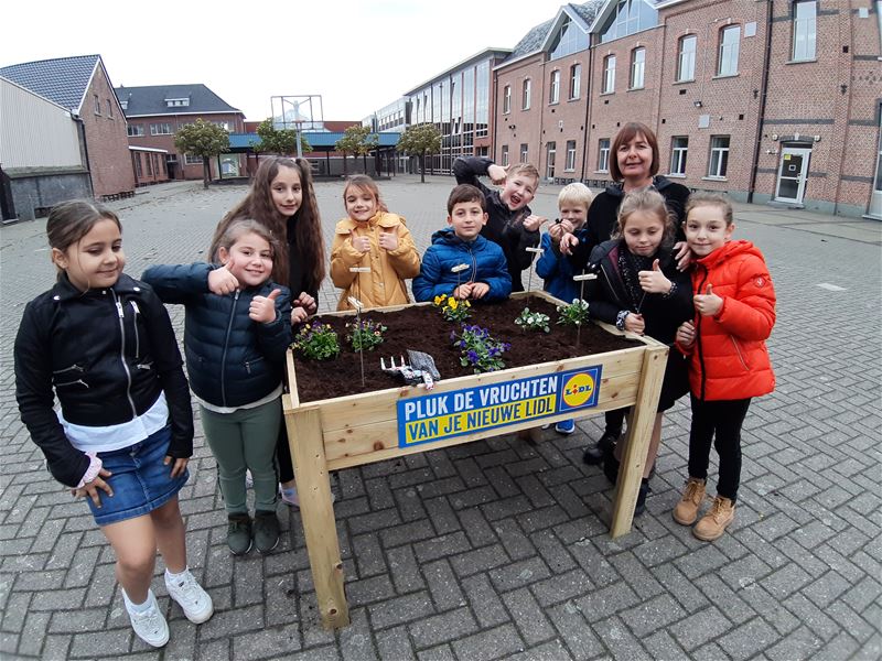 Leerlingen van De Brug hebben groene vingers