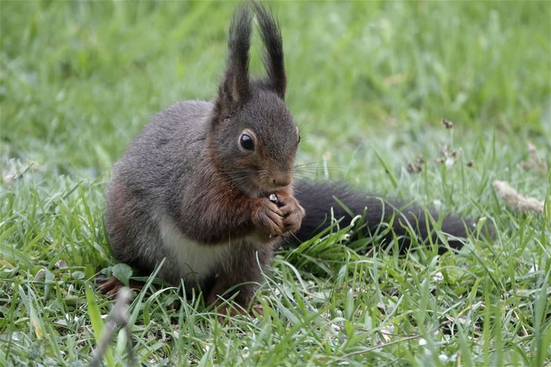 Lentebeelden uit Bolderberg